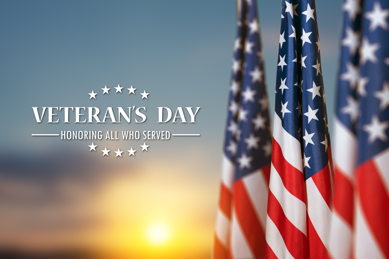 Veterans Day BG