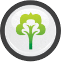 environmental wellness icon